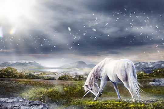 Dream Spirituality For Interpreting Dreams Of A White Horse