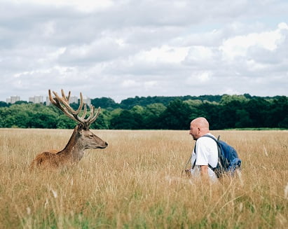 what does it mean when a deer crosses your path