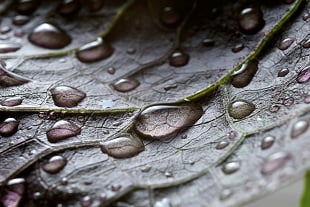 raindrops spiritual meaning